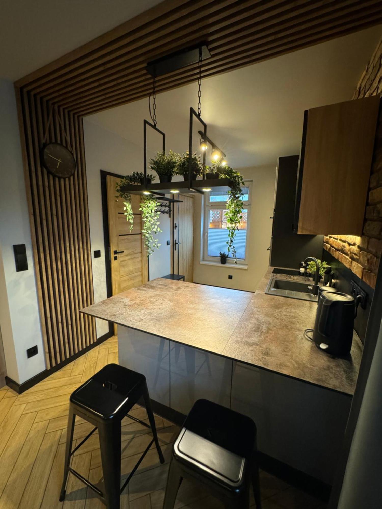 Apartamenty Szary Wilk - Klimatyczne Apartamenty Dla 2 Osob - Blisko Centrum -Bezplatny Parking Zakopane Bagian luar foto